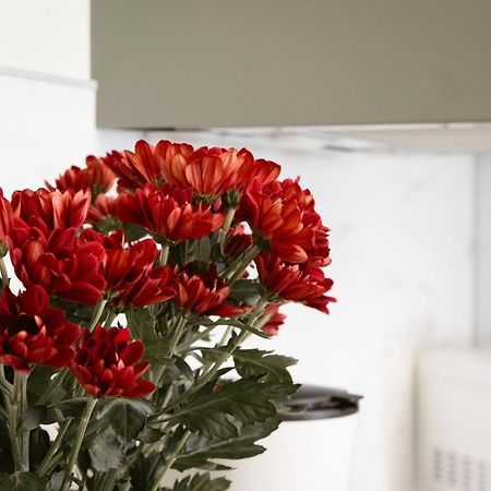Apartman Anastasie Prag Dış mekan fotoğraf
