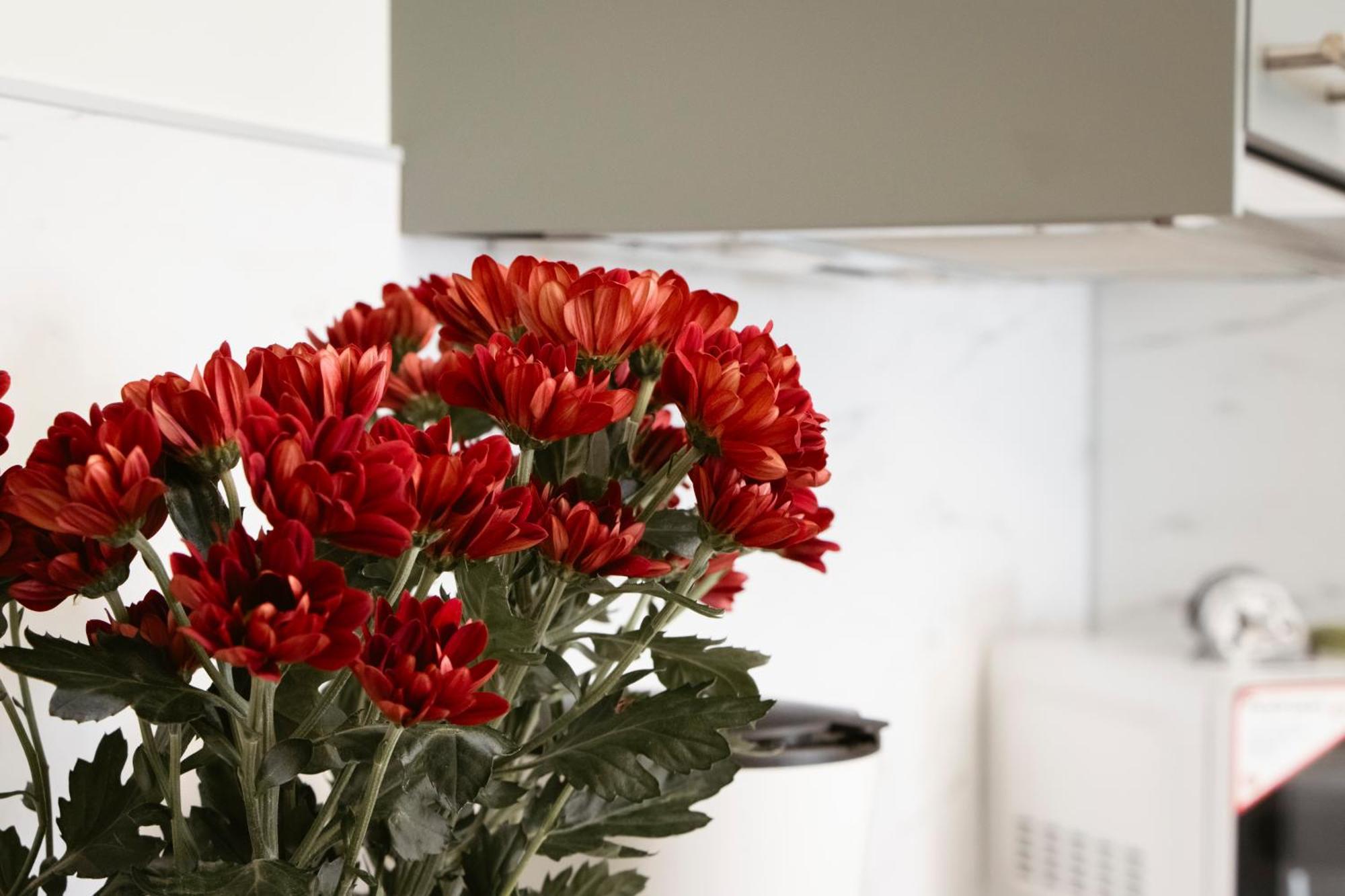 Apartman Anastasie Prag Dış mekan fotoğraf